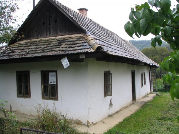 Terény9